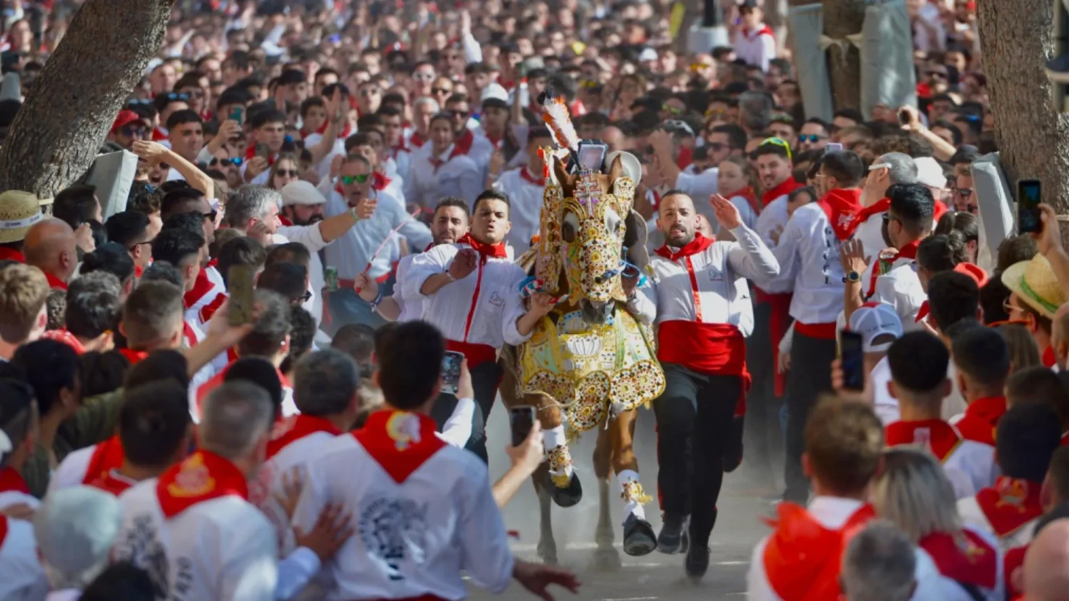 caballos del vino subiendo la cuesta